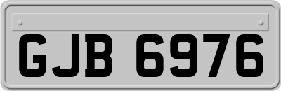 GJB6976