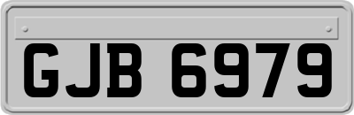 GJB6979