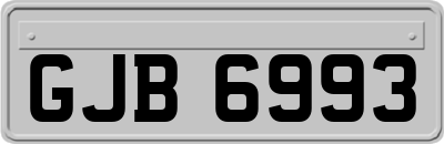 GJB6993