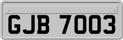 GJB7003