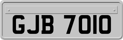 GJB7010