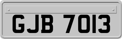 GJB7013