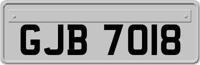 GJB7018