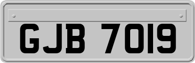 GJB7019