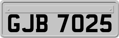 GJB7025