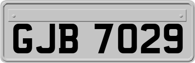GJB7029
