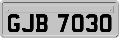GJB7030