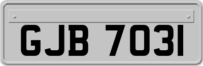 GJB7031