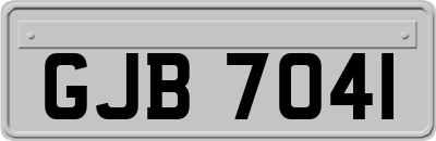 GJB7041