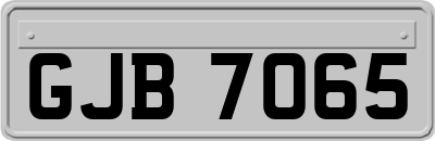 GJB7065