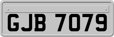 GJB7079