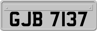 GJB7137