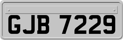 GJB7229