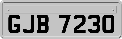 GJB7230