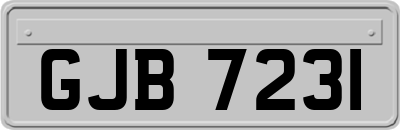 GJB7231