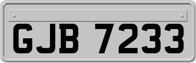 GJB7233
