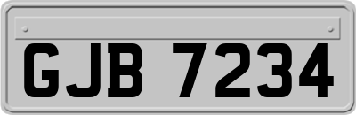 GJB7234