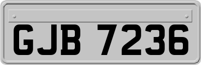 GJB7236