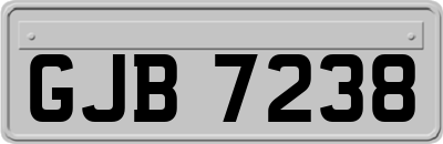 GJB7238