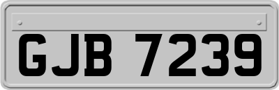 GJB7239