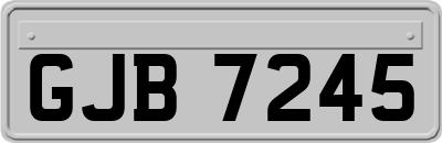 GJB7245
