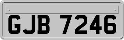 GJB7246