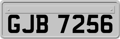 GJB7256