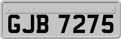 GJB7275