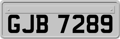 GJB7289