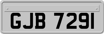 GJB7291