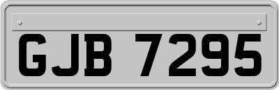 GJB7295