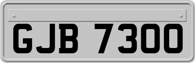 GJB7300