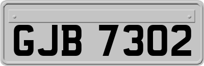 GJB7302