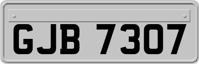 GJB7307