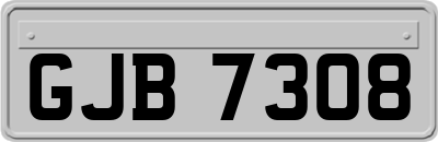 GJB7308
