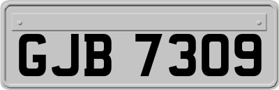 GJB7309