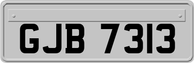 GJB7313