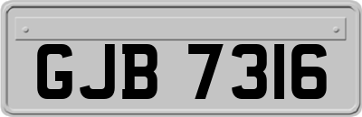 GJB7316