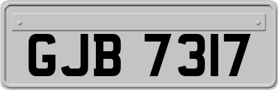 GJB7317