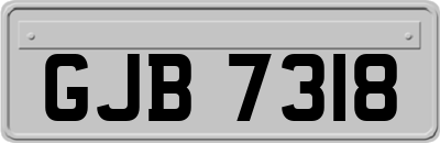 GJB7318