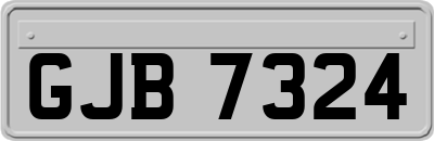 GJB7324