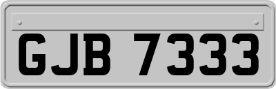 GJB7333