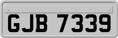 GJB7339