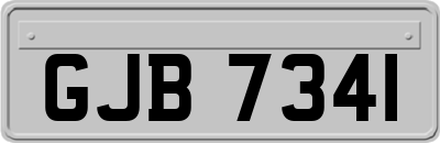 GJB7341