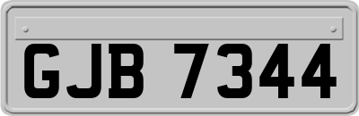 GJB7344