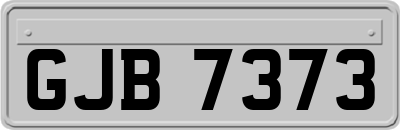 GJB7373