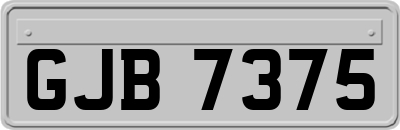 GJB7375