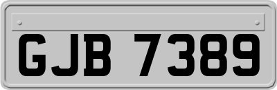 GJB7389
