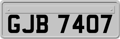GJB7407