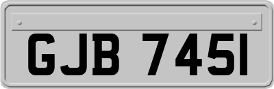 GJB7451
